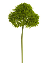 Load image into Gallery viewer, Green