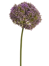 Load image into Gallery viewer, Lavender