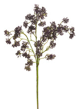 Load image into Gallery viewer, Plum