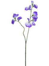Load image into Gallery viewer, Lavender