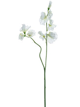 Load image into Gallery viewer, White