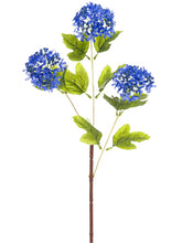 Load image into Gallery viewer, Blue Helio