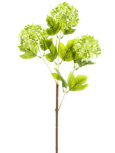 Load image into Gallery viewer, Green