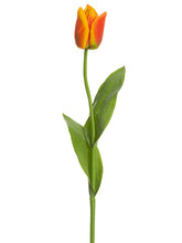 Load image into Gallery viewer, Two Tone Orange