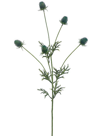36