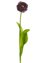 Load image into Gallery viewer, Eggplant