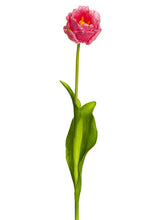 Load image into Gallery viewer, Fuchsia