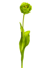 Load image into Gallery viewer, Green