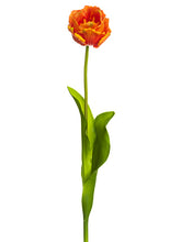 Load image into Gallery viewer, Orange