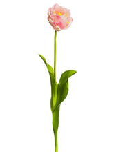 Load image into Gallery viewer, Pink