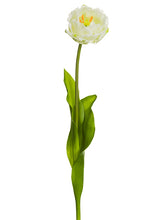 Load image into Gallery viewer, White Green