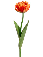 Load image into Gallery viewer, Orange