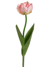 Load image into Gallery viewer, Pink