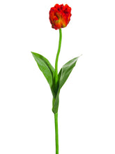 Load image into Gallery viewer, Red Tomato