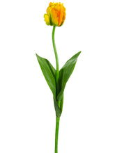 Load image into Gallery viewer, Yellow Gold