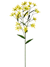 Load image into Gallery viewer, Yellow