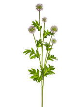 Load image into Gallery viewer, Lavender