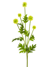 Load image into Gallery viewer, Yellow