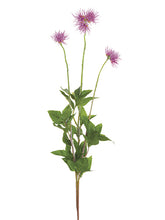 Load image into Gallery viewer, Liliac