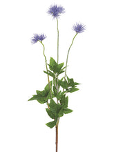 Load image into Gallery viewer, Lavender