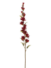 Load image into Gallery viewer, Two Tone Burgundy