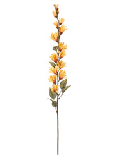 Load image into Gallery viewer, Two Tone Ivory