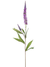 Load image into Gallery viewer, Purple