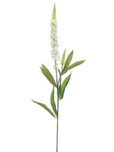 Load image into Gallery viewer, White