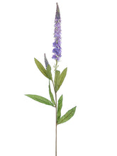 Load image into Gallery viewer, White Lavender