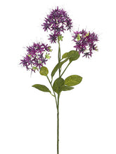 Load image into Gallery viewer, Violet