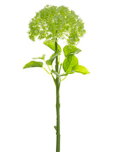 Load image into Gallery viewer, Green Cream