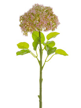 Load image into Gallery viewer, Pink Green