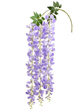 Load image into Gallery viewer, Amethyst