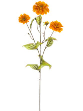 Load image into Gallery viewer, Orange