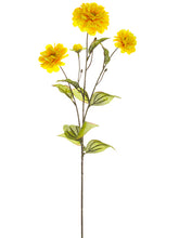 Load image into Gallery viewer, Yellow Gold