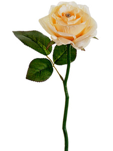 12" Diamond Small Rose Stem  Beige (pack of 36)