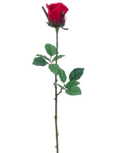Load image into Gallery viewer, Red
