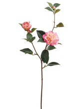 Load image into Gallery viewer, Two Tone Pink
