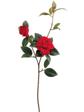 Load image into Gallery viewer, Red