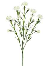Load image into Gallery viewer, Cream White