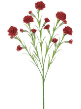 Load image into Gallery viewer, Red