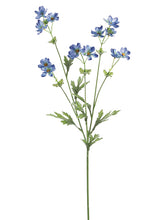 Load image into Gallery viewer, Blue