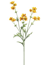 Load image into Gallery viewer, Gold Yellow