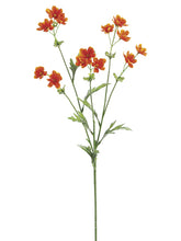 Load image into Gallery viewer, Orange