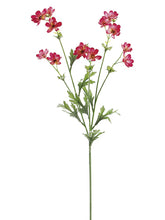 Load image into Gallery viewer, Dark Pink