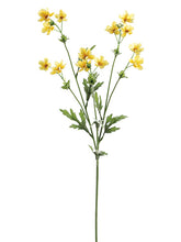 Load image into Gallery viewer, Yellow