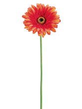 Load image into Gallery viewer, Orange