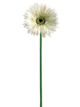 Load image into Gallery viewer, White