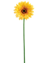 Load image into Gallery viewer, Yellow
