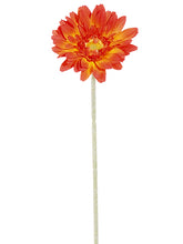 Load image into Gallery viewer, Orange